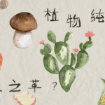 解構純素皮革, 仙人掌與蘋果、玉米、蘑菇皮革的深度材質對比