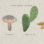 An In-Depth Comparison with Apple, Corn, and Mushroom Leather