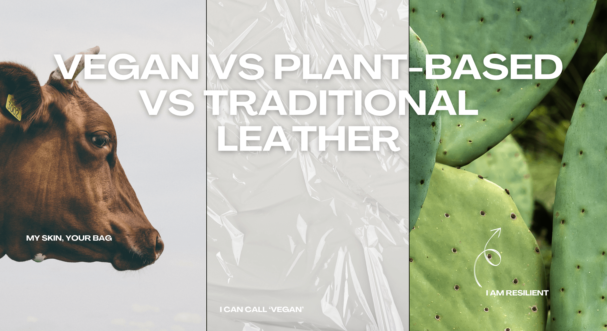 Soulmatte Beyond Fashion Making the Sustainable Choice Featured | SOULMATTE