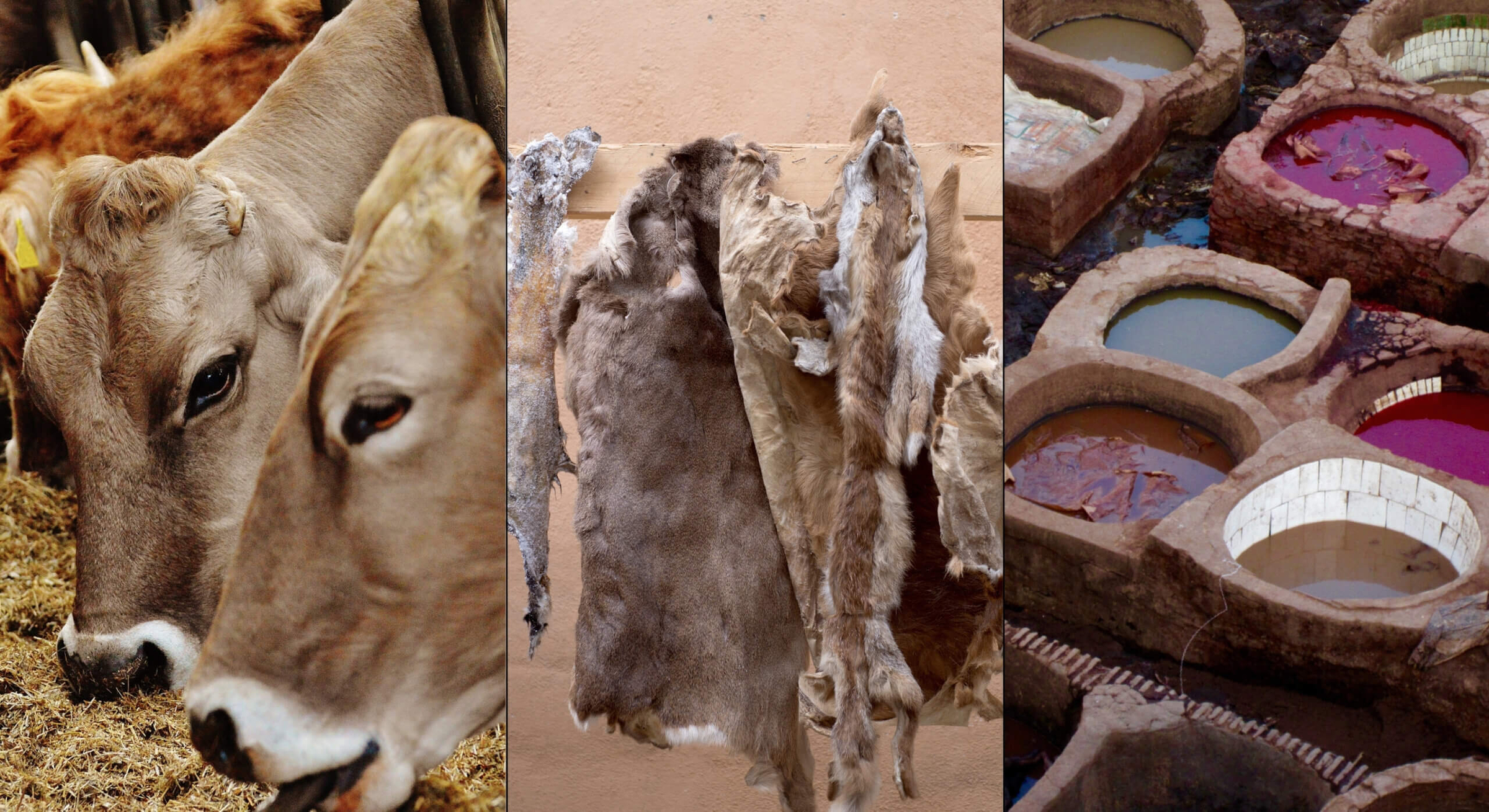 Soulmatte Beyond Fashion Making the Sustainable Choice Traditional Leather scaled | SOULMATTE