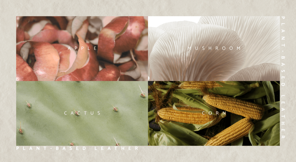 Why SOULMATTE Chose Cactus Leather: An In-Depth Comparison with Apple, Corn, and Mushroom Leather 2 拆解四大純素皮革:來源、優勢與現實考量